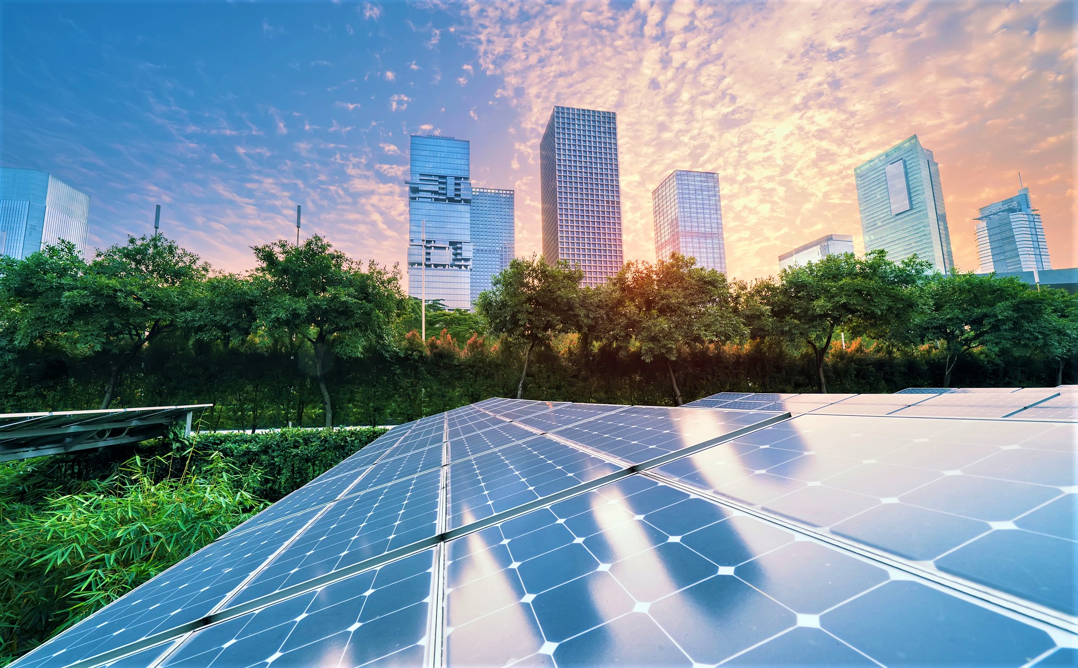 solar panels with a cityscape and trees in the background